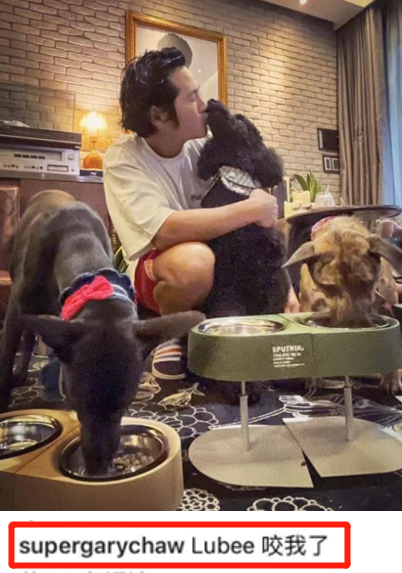 知名歌手曹格被自家狗咬伤，地板上全是血渍，爱犬腿部残疾脾气差