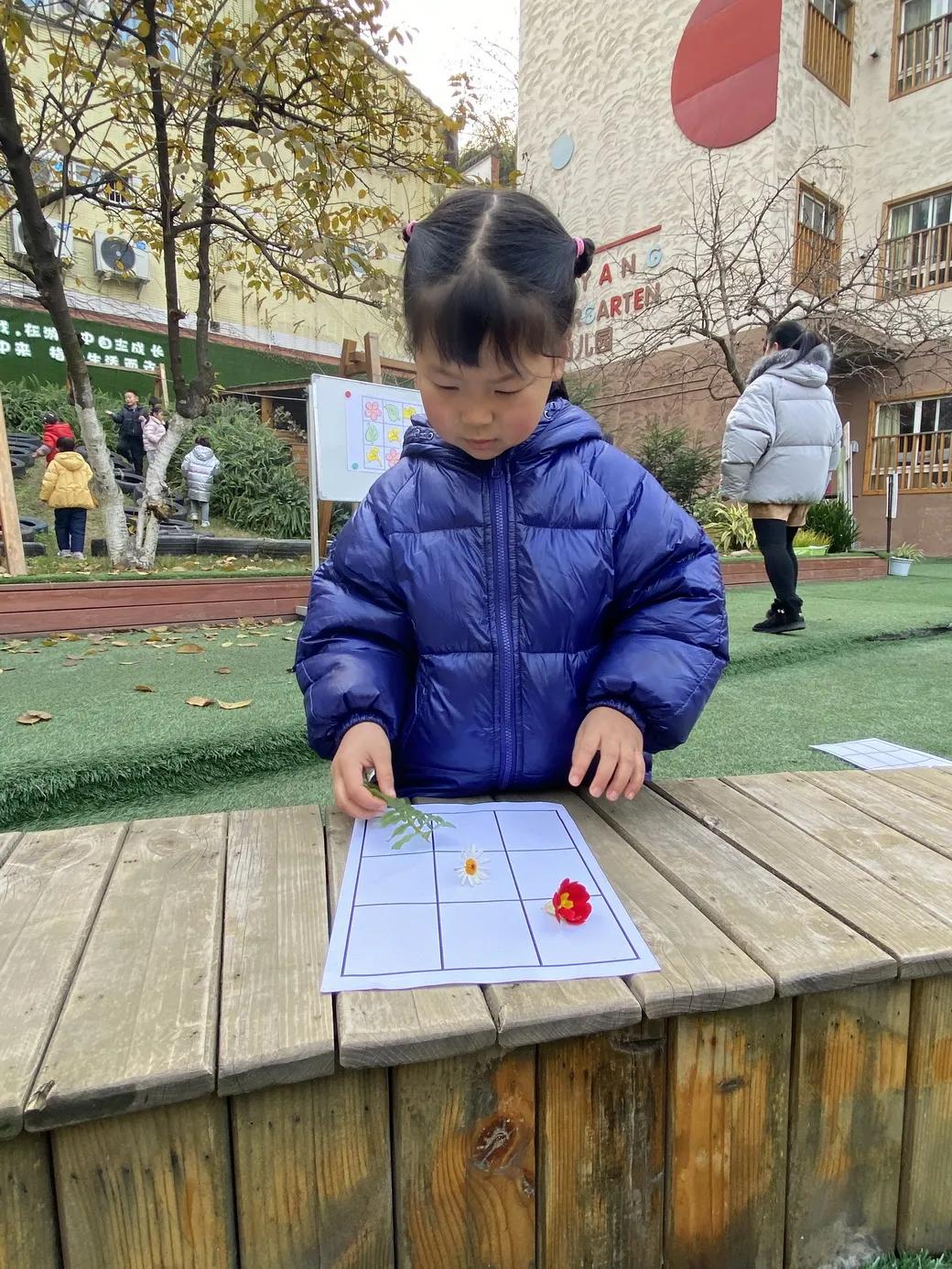 巧用天然材料，感受自然之美丨天府新区华阳幼儿园开展户外活动