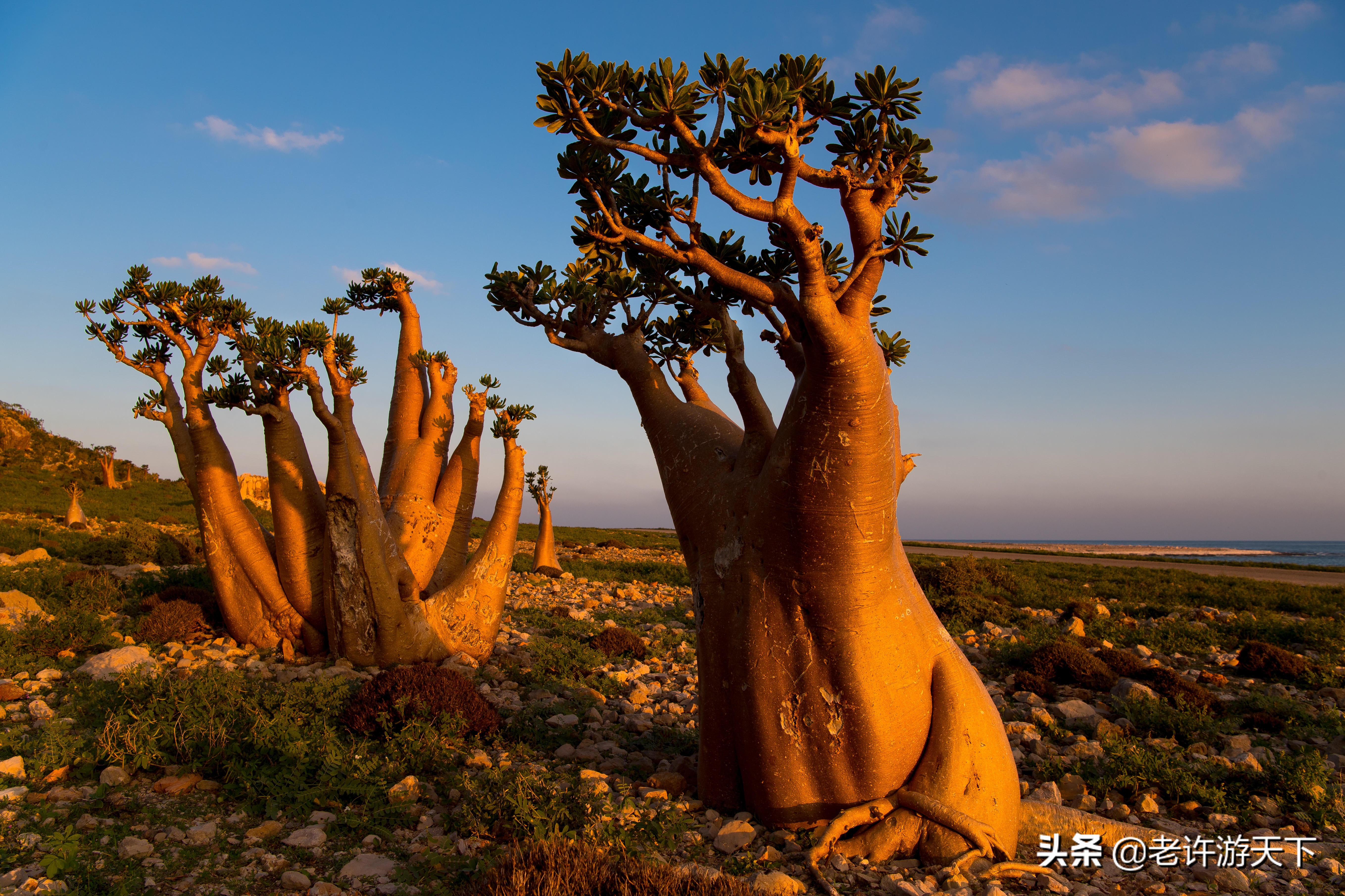世界上最難去的10個(gè)國(guó)家和地區(qū)，邁過(guò)這些坎，周游世界就不是問(wèn)題