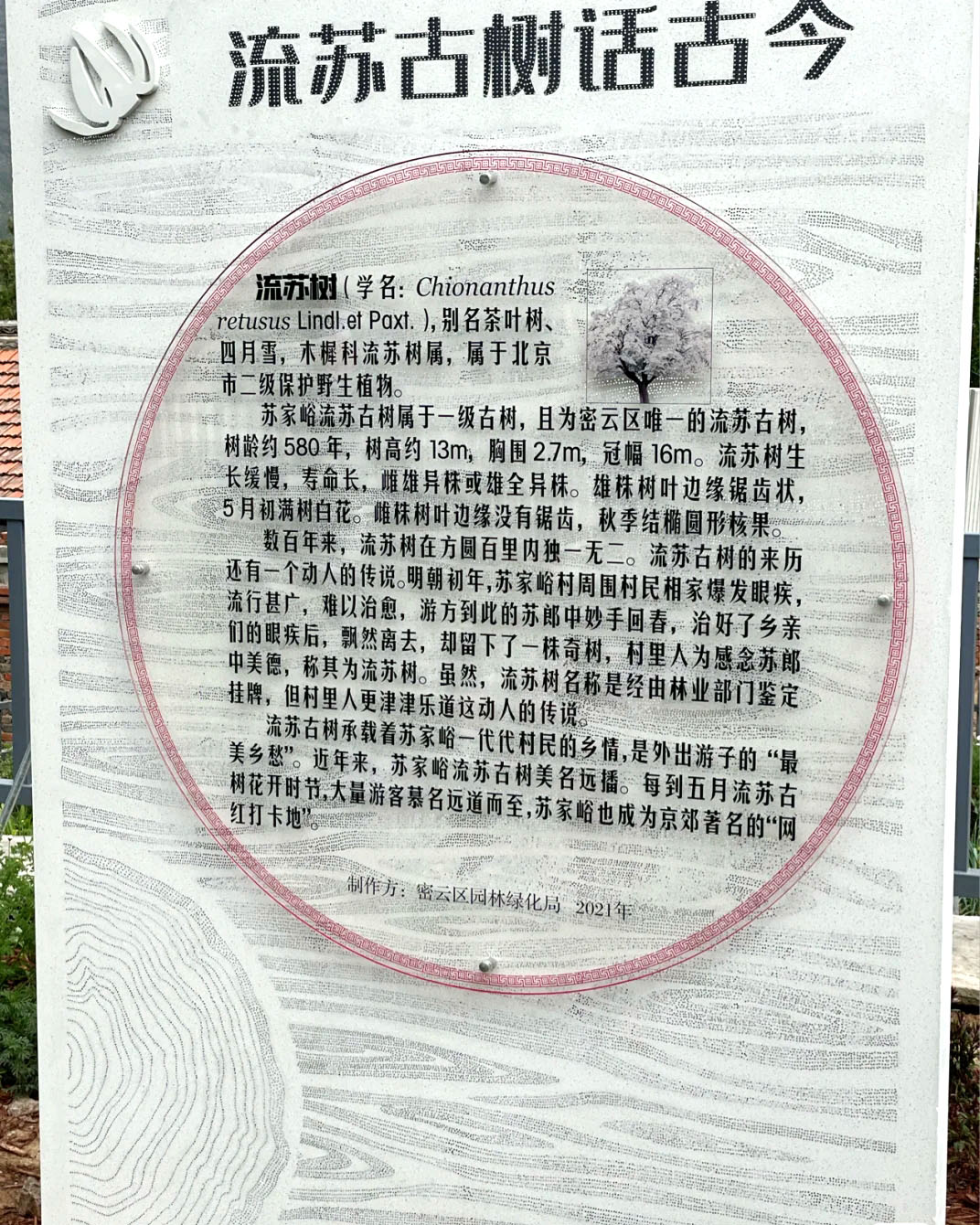 景观中有很多东西都是可以采用透光混凝土来打造的