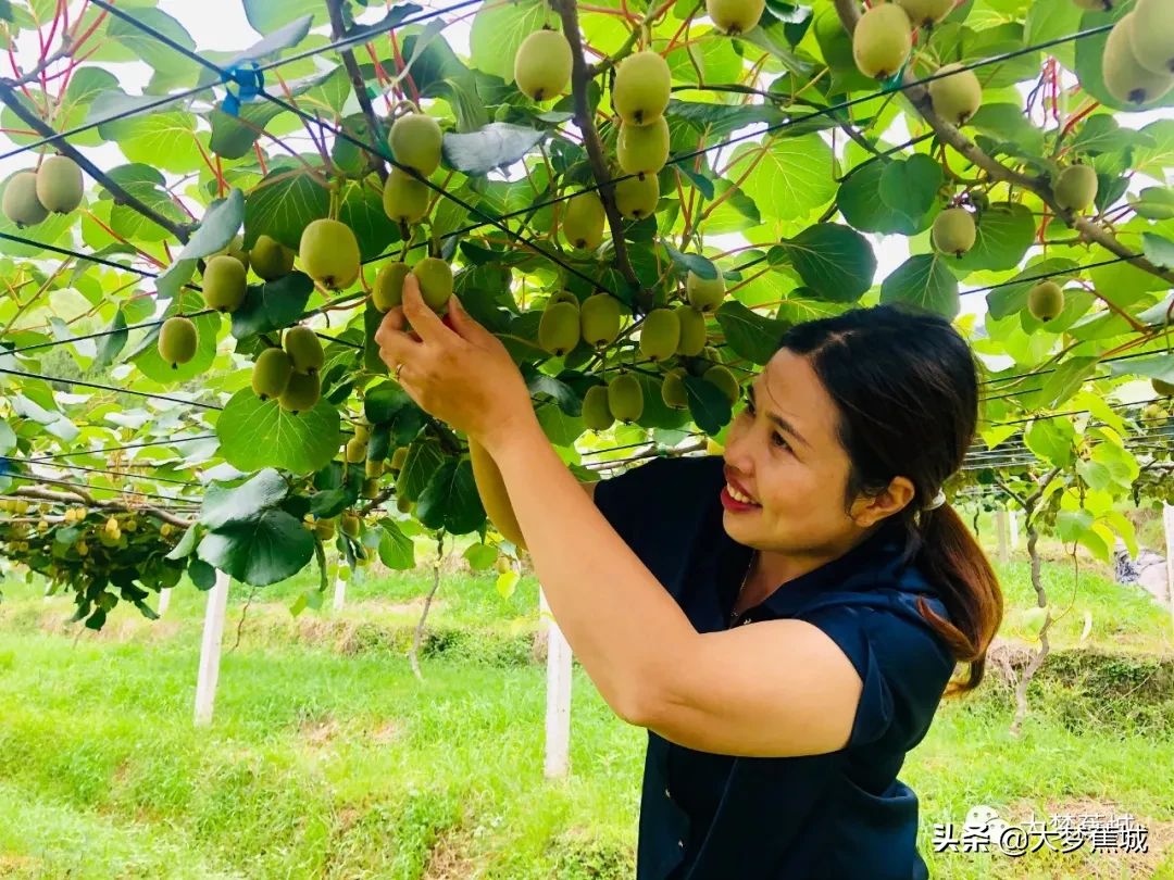 收获满满！看革命老区虎贝如何蹚出一条特色乡村振兴路