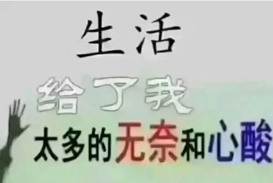 生活给我了太多的无奈和心酸