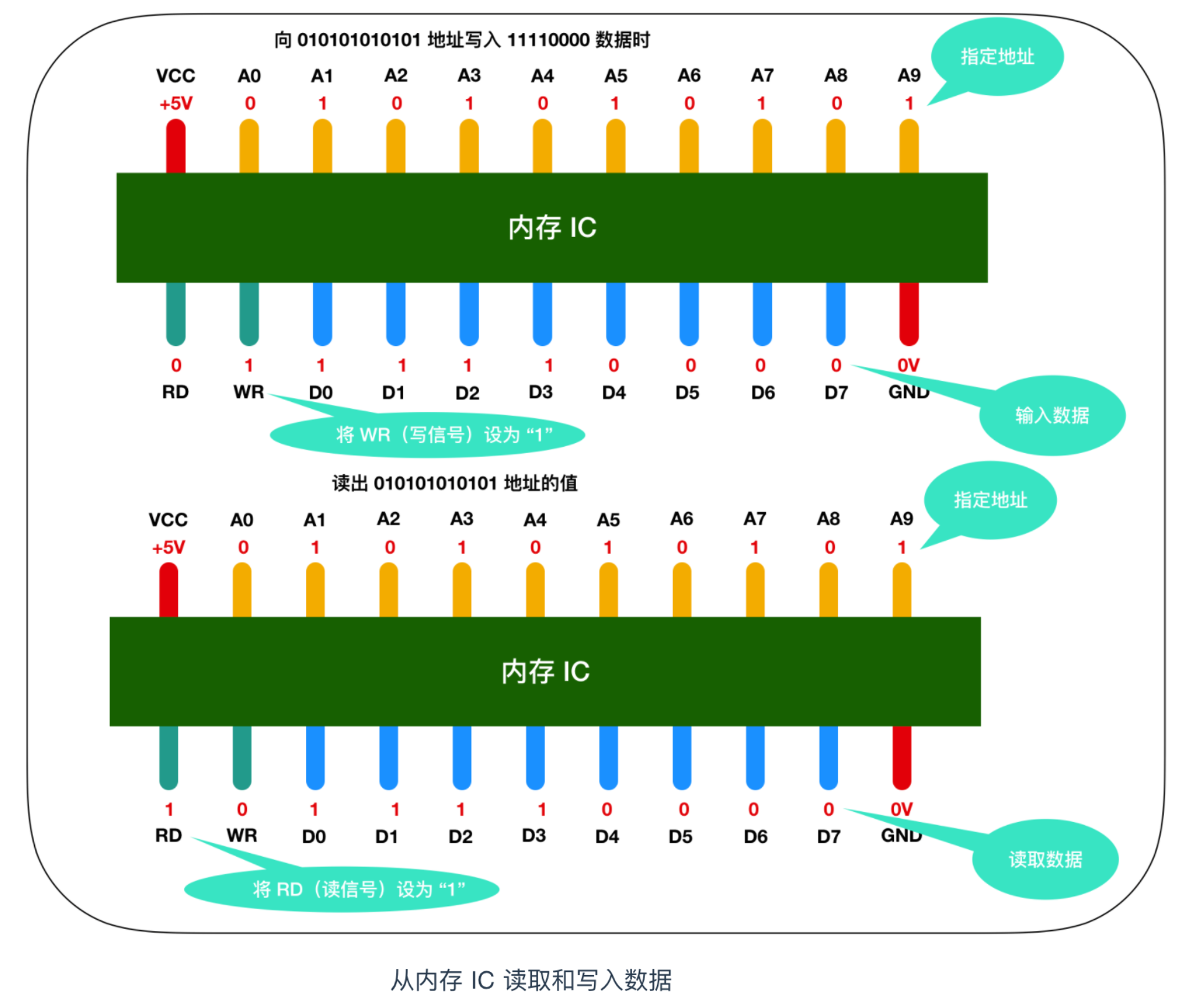 程序员需要了解的硬核知识之内存