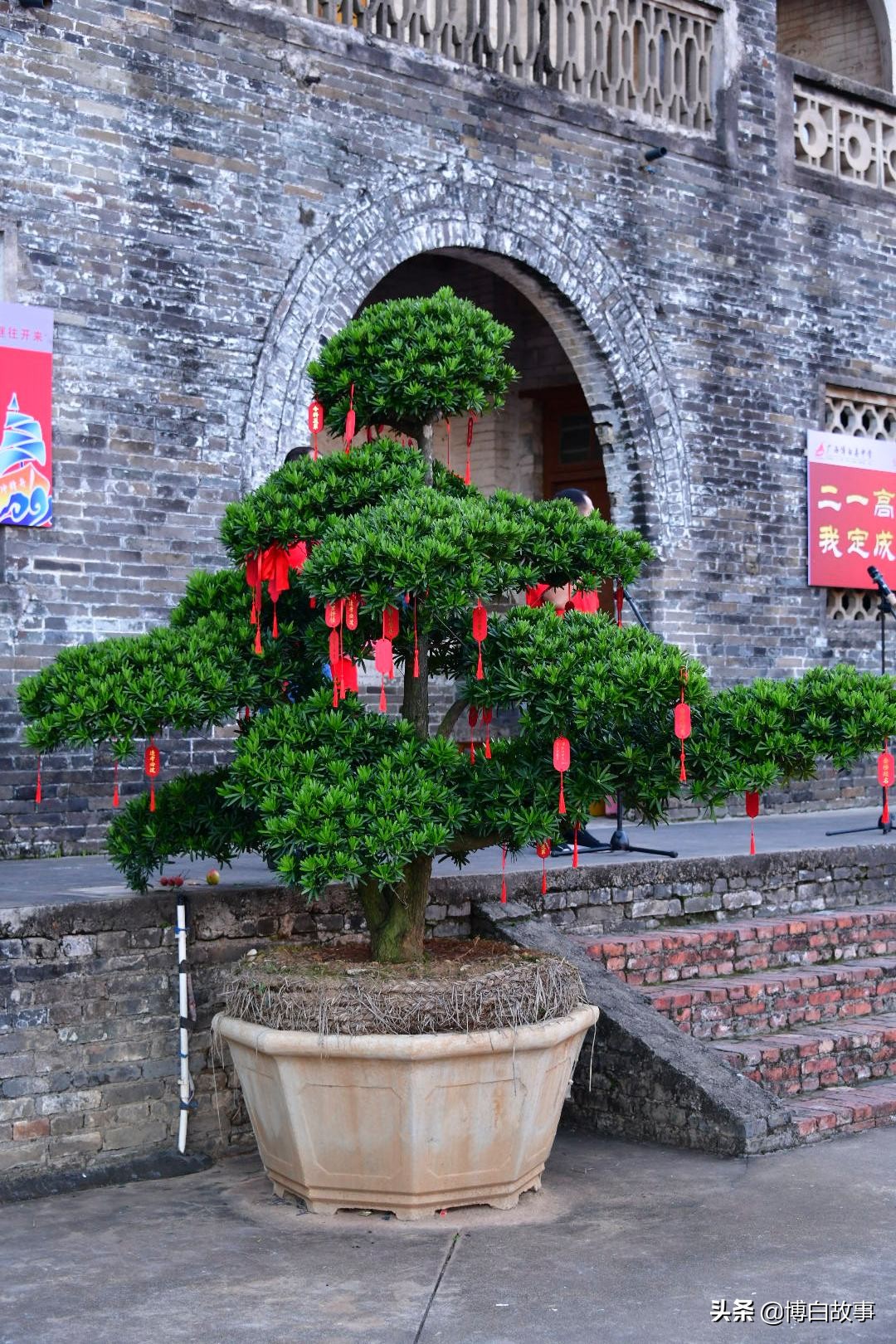 廣西縣中學(xué)舉行考前動(dòng)員大會(huì)!氣勢(shì)如虹(圖28) 廣西縣中學(xué)舉行考前動(dòng)員大會(huì)!氣勢(shì)如虹(圖28)