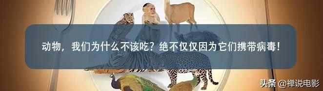 孩子问:地球为什么会这样?我用这部豆瓣9.2的高分电影回答了他