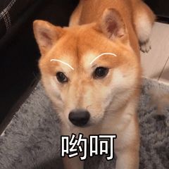 շСá߽񷨵㊵