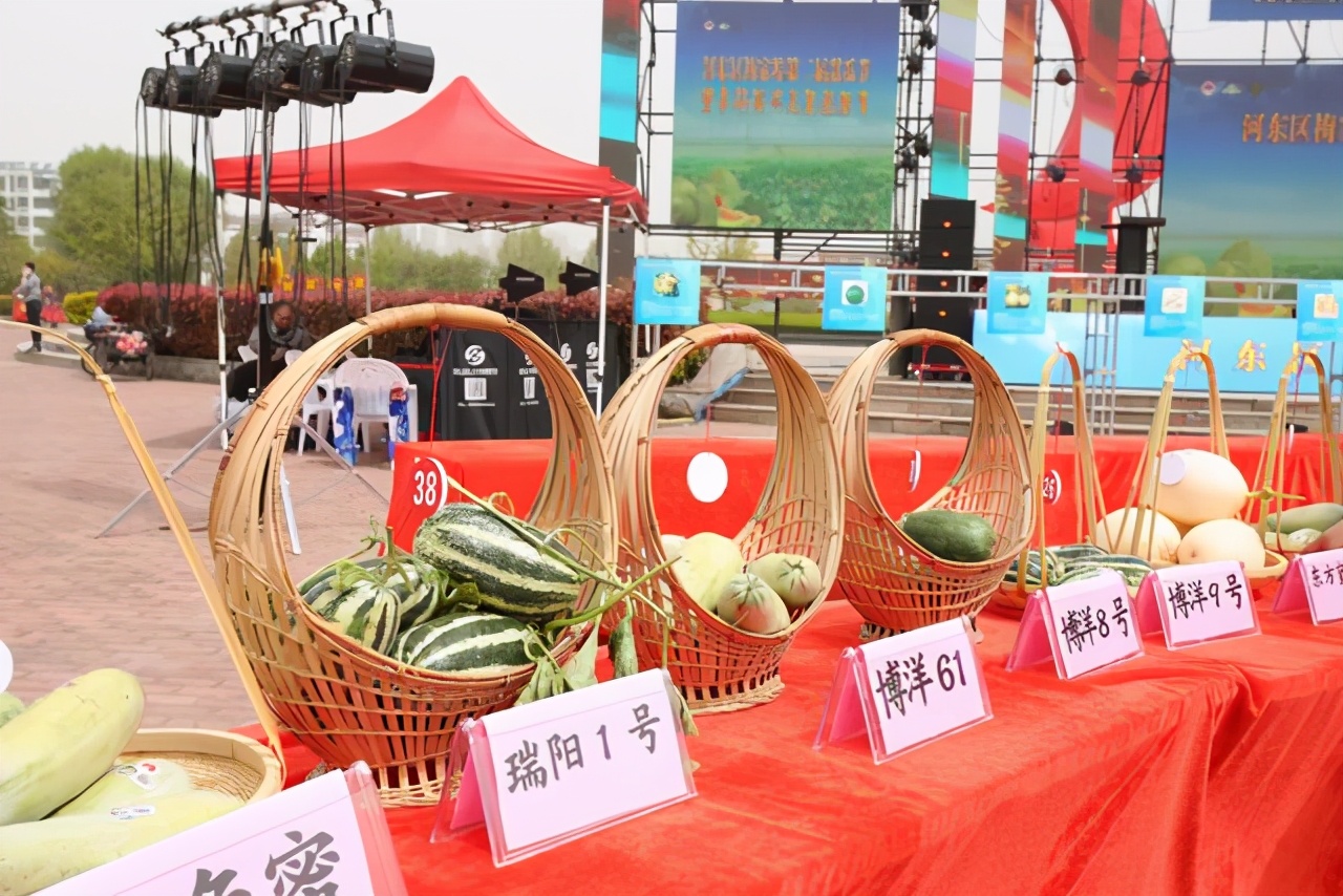 临沂市河东区梅家埠第二届甜瓜节暨乡村振兴文化旅游节开幕