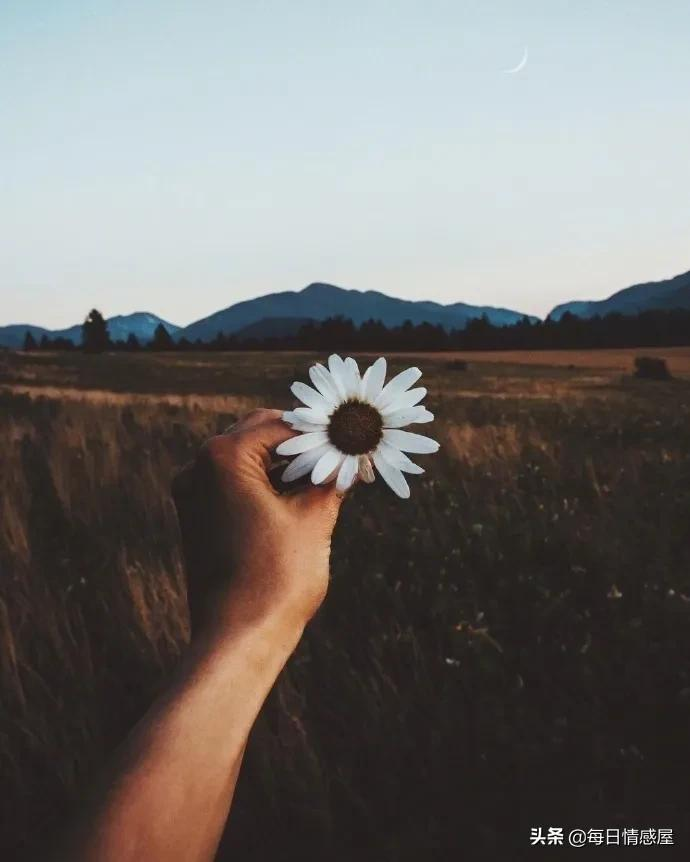 如阳光般励志的正能量句子