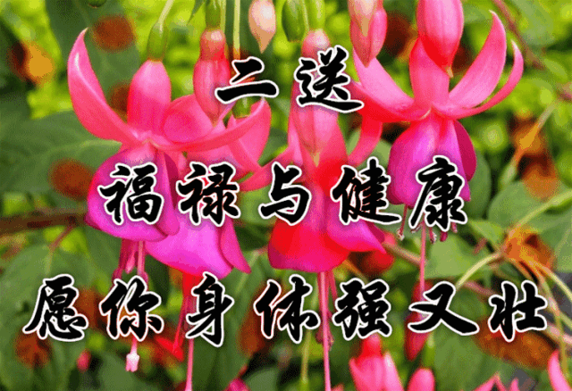 吉祥|大年初九吉祥问候祝福动态表情图片，正月初九拜年问候祝福语