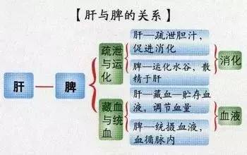 百病从肝治，据说这是一份养肝最全的方法