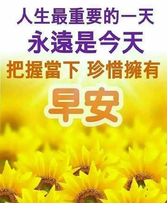 早上幸福阳光洒进来，新鲜空气给关爱，心诚祝愿你万事顺意，早安