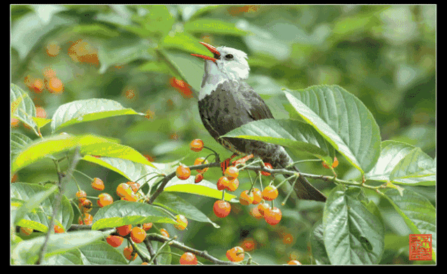 早安|大年十三早安图片日签正月十三阳光图片带字 2月6问候祝福美图