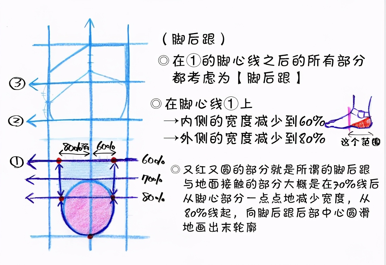 新手画脚难到升天？人物脚部不会画？“正经”脚部画法教程来啦