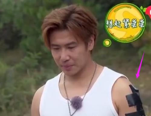 上综艺节目不许有纹身？明星们各显神通为遮盖