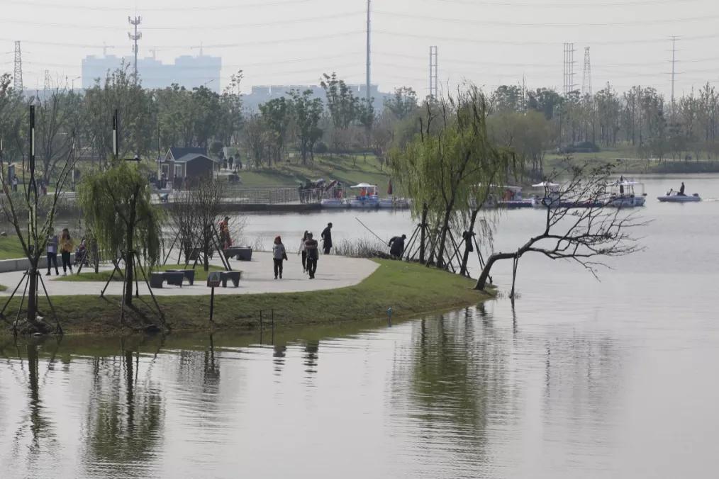 南通紫琅公园：治水重塑生态美，一湾清湖万物生