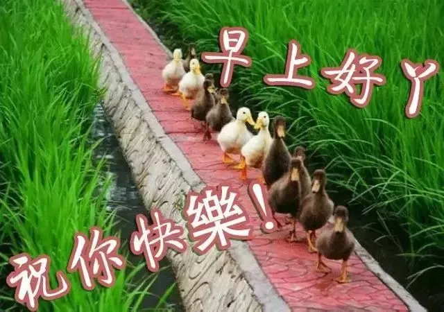 相聚一起快乐时光句子 开心小聚怎么发朋友圈图片