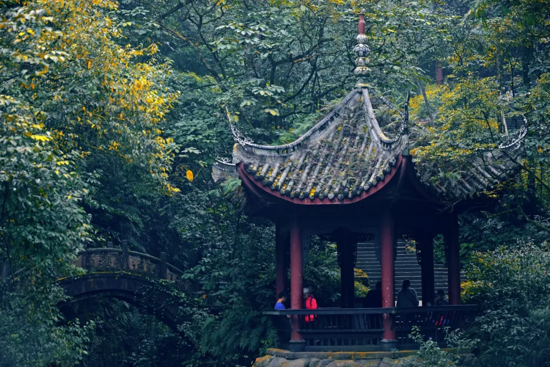 14趟成都直达列车,开往峨眉山的绝美秋天