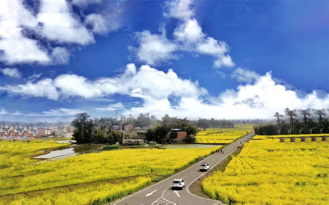 重庆冷知识：山城还有超大的平原？面积超过100平方公里