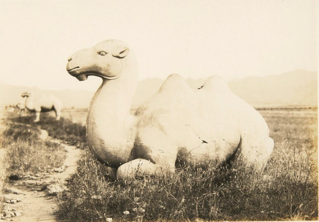 Too precious!  100 years ago old photos of Changping, Ming Tombs, Juyongguan, Xiaotangshan in Beijing