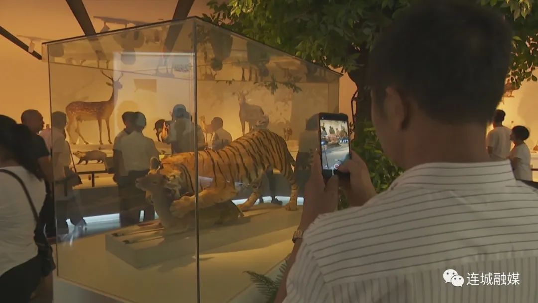 龍巖地質公園博物館試開館 免費向公眾開放