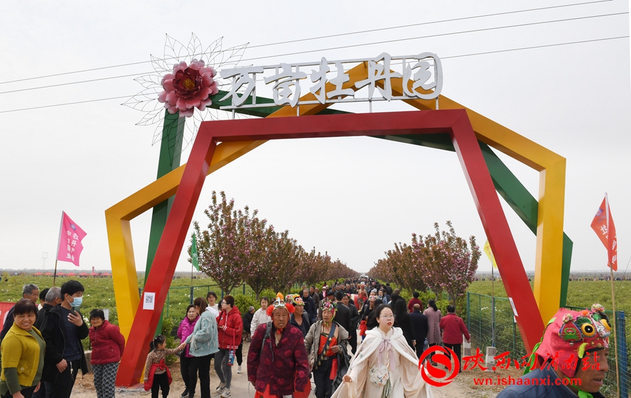 第四屆洽川旅游文化季牡丹嘉年華精彩紛呈 美食美景等你來解鎖（組圖）