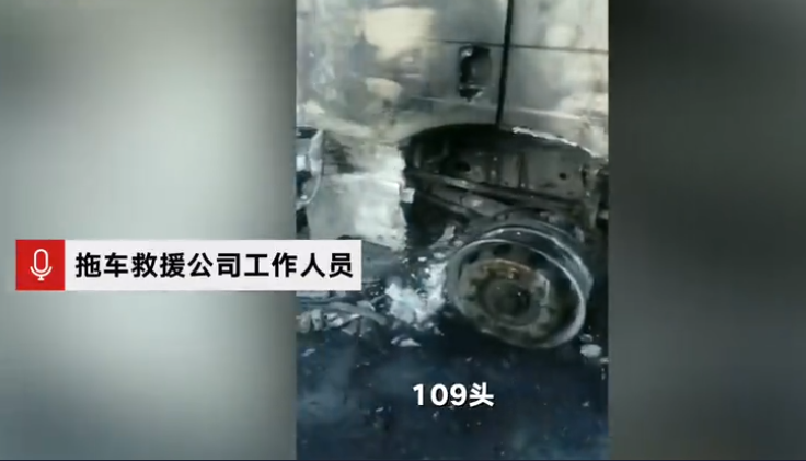  . 货车起火上百头猪葬身火海