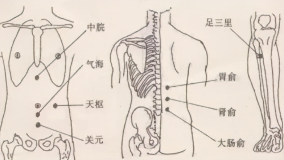 这些中药不贵，却是抗疫良方！特别适合广州这地方