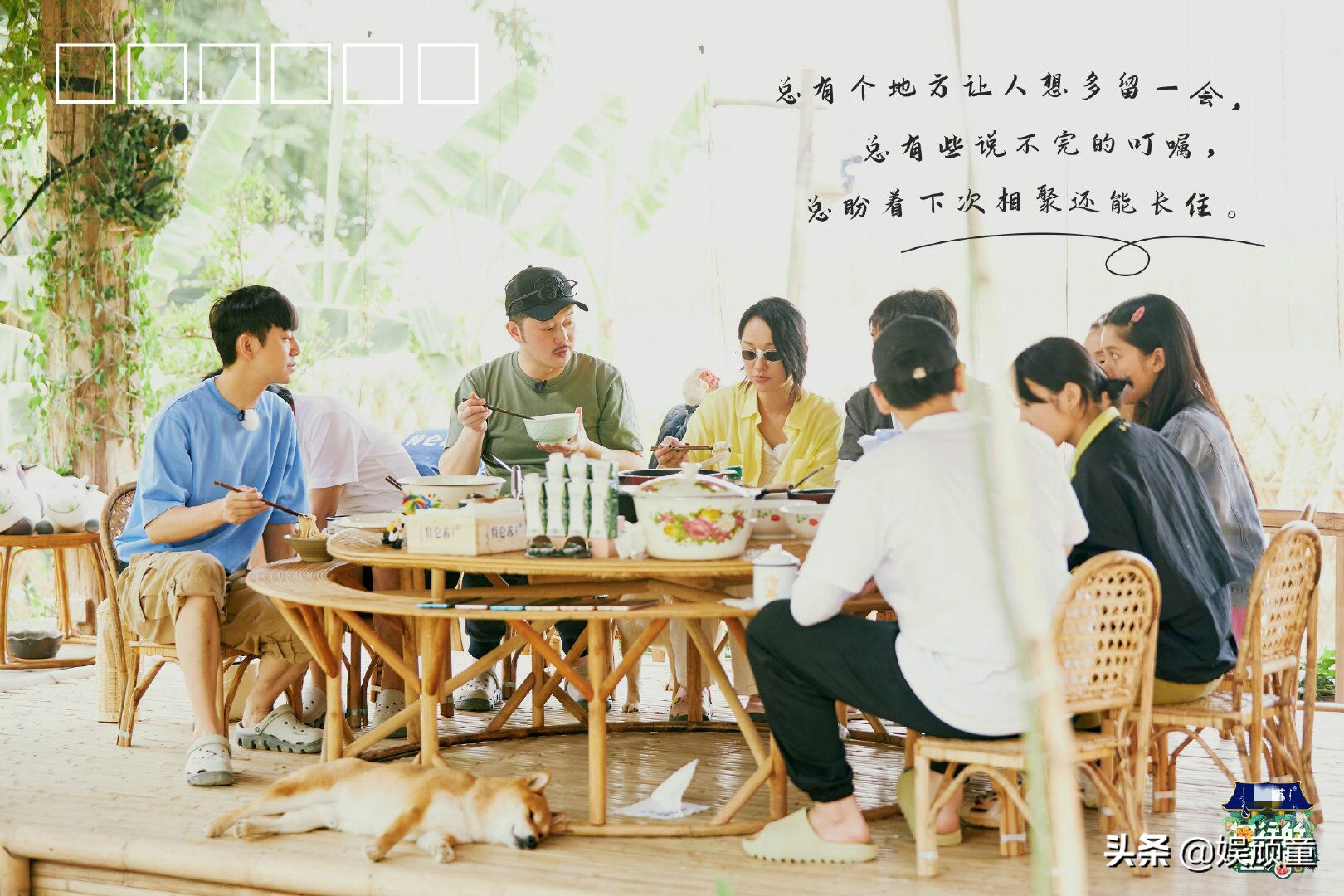 《向往的生活》暴露嘉賓字體，張婧儀工整，陶虹、周迅：字如其人