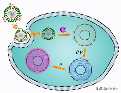 如果改變人類基因，可延長30％的壽命，你會願意改變嗎？