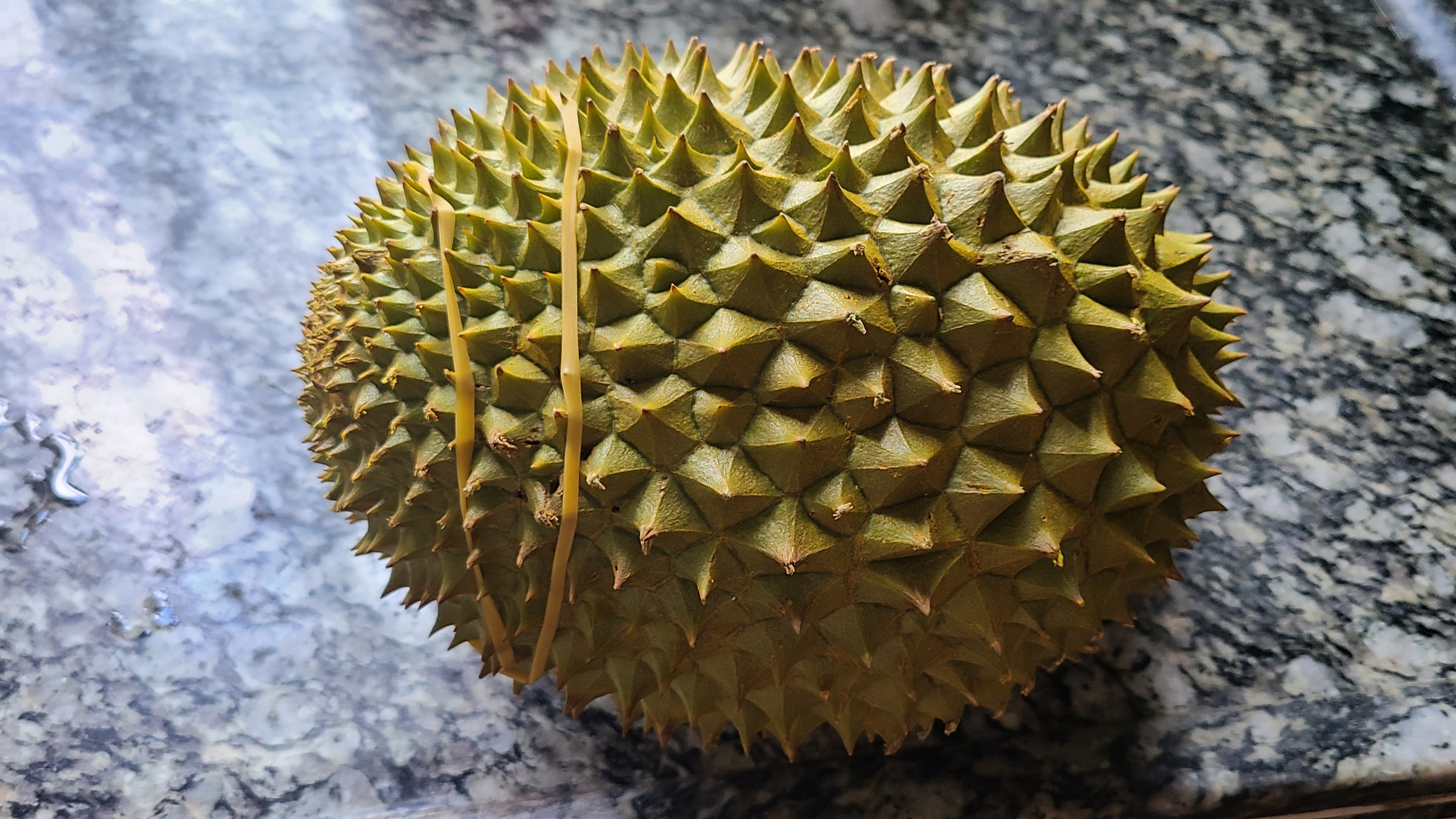 榴莲炖鸡，广东夏天很常见的一道美食，好喝简单，味道特别