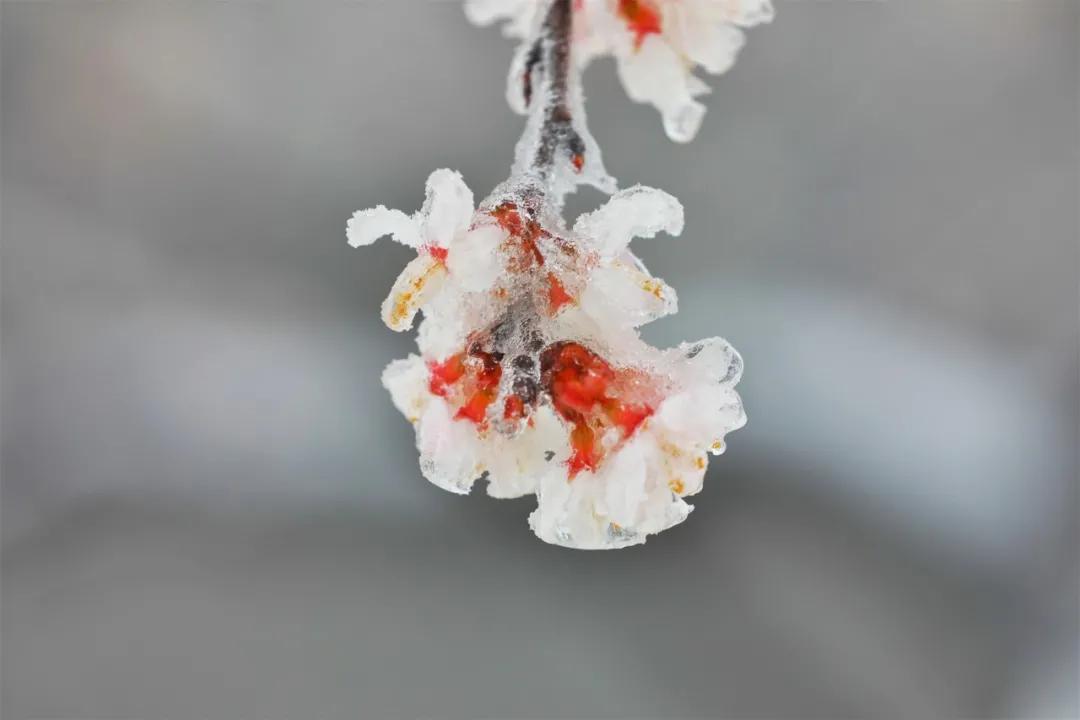 《你好，李焕英》鸡公山景区对所有女神免门票啦！