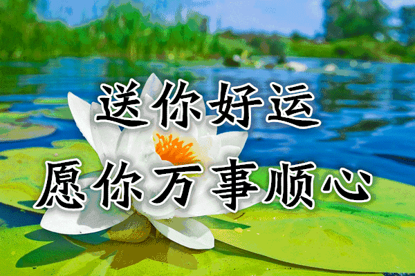 送给朋友最美的祝福图片