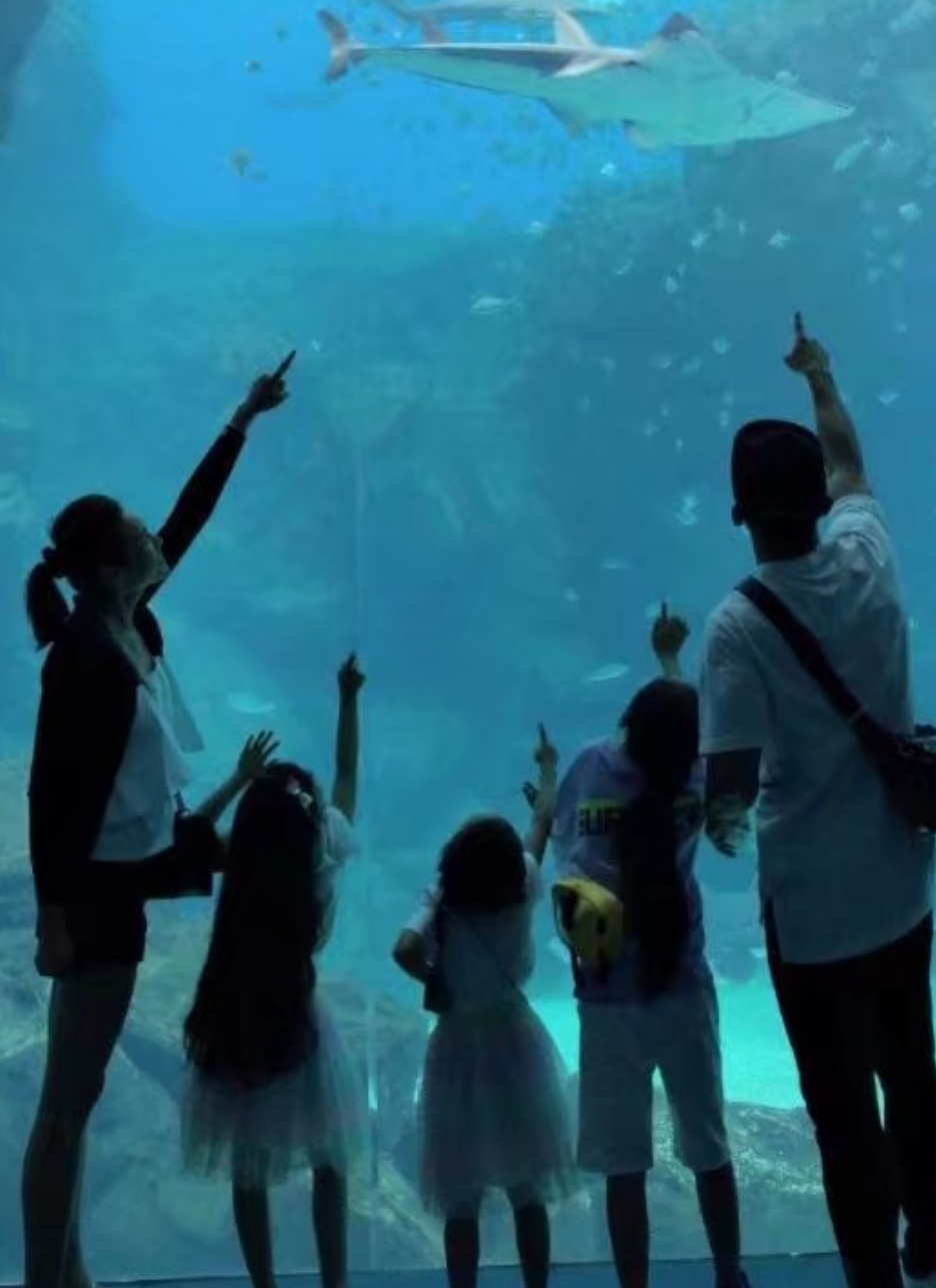 刘畊宏用蜻蜓逗女儿，小泡芙害怕直摇头，长发飘飘颜值高