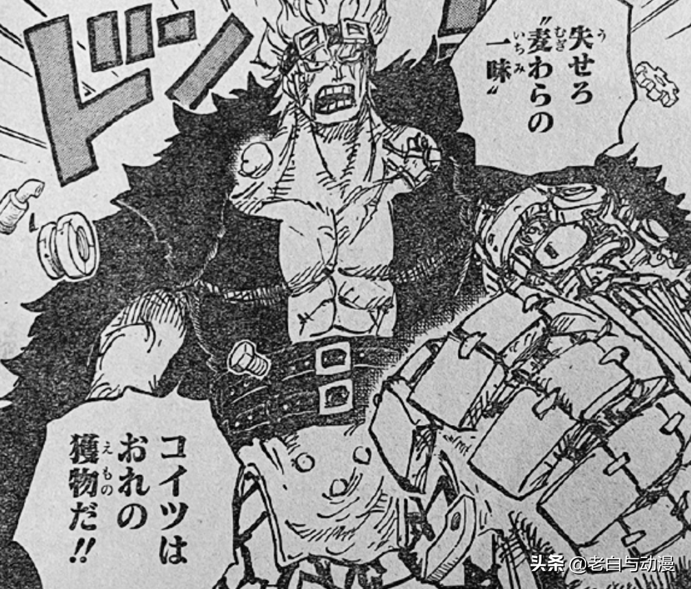 海賊王1013話：宙斯被吃掉，基德救下娜美和烏索普