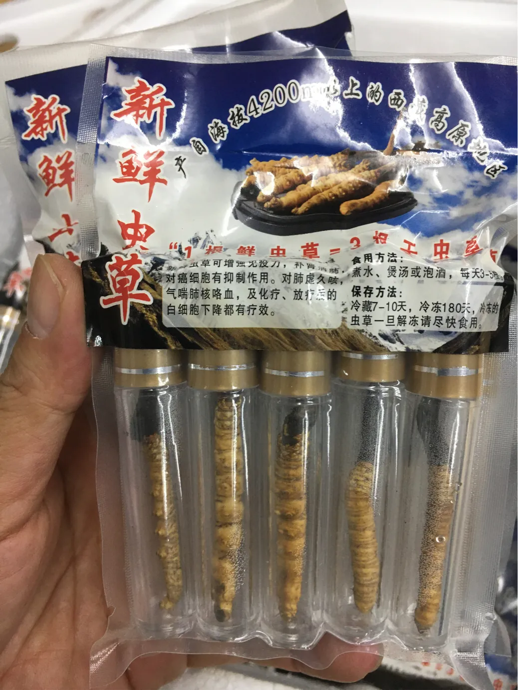 什么是新鲜虫草？认识新鲜冬虫夏草！