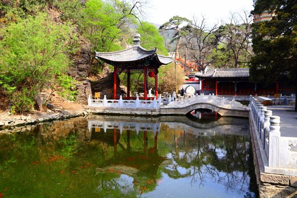 Another park in Beijing is on fire. There are eight ancient temples in the park, no less than Xiangshan, only 27 kilometers away from the city center.