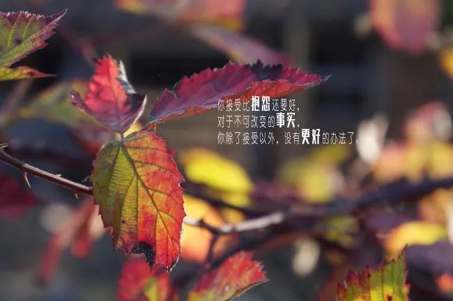 2019很精辟的一段人生感悟哲理语录