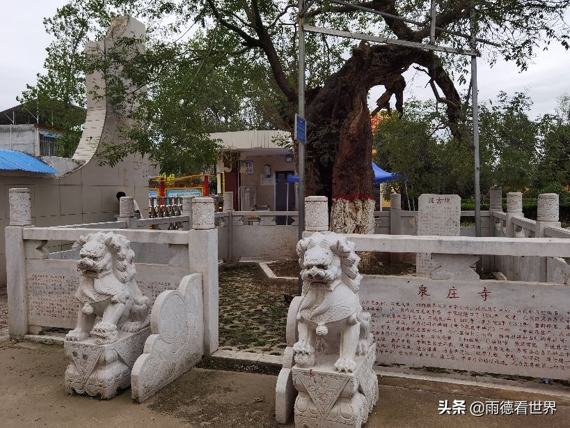 汉光武帝刘秀故里真在南阳，瓦店镇古白水村千年古树见证东汉故事