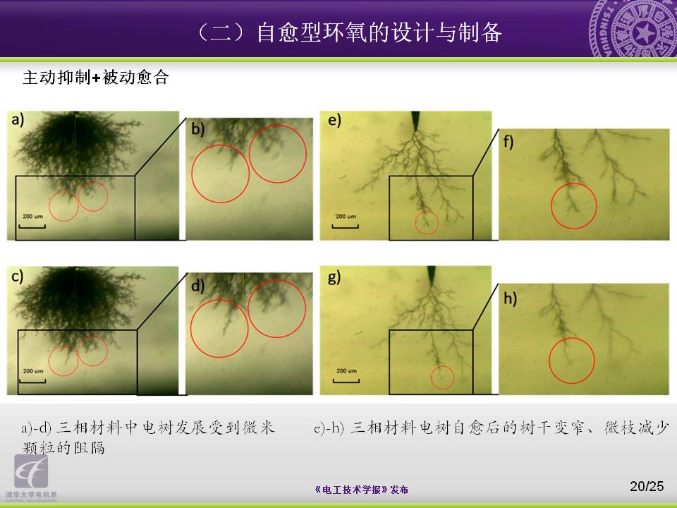 清华大学电机系杨颖副教授：向大自然学习，电工材料的设计与制备