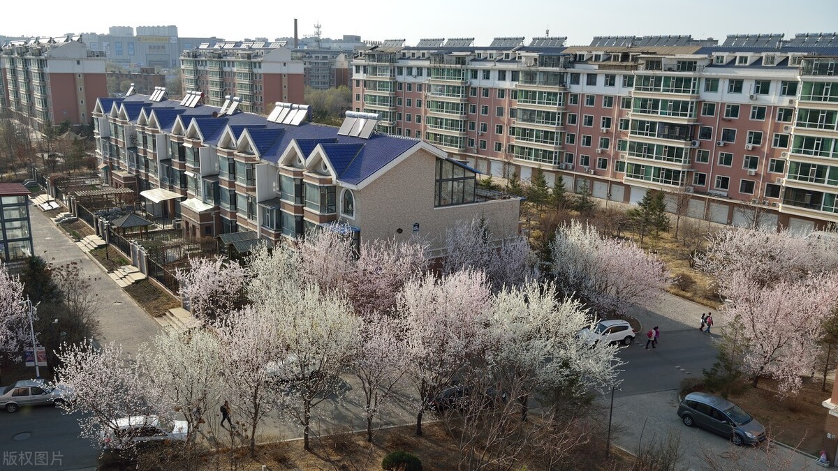 高房价七寸被击中？3大新规下，专家：2021年房价