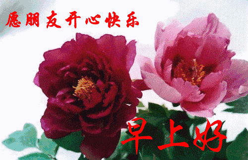 星期三最新版早安短信问候祝福语大全 把最美的祝福送给你图片