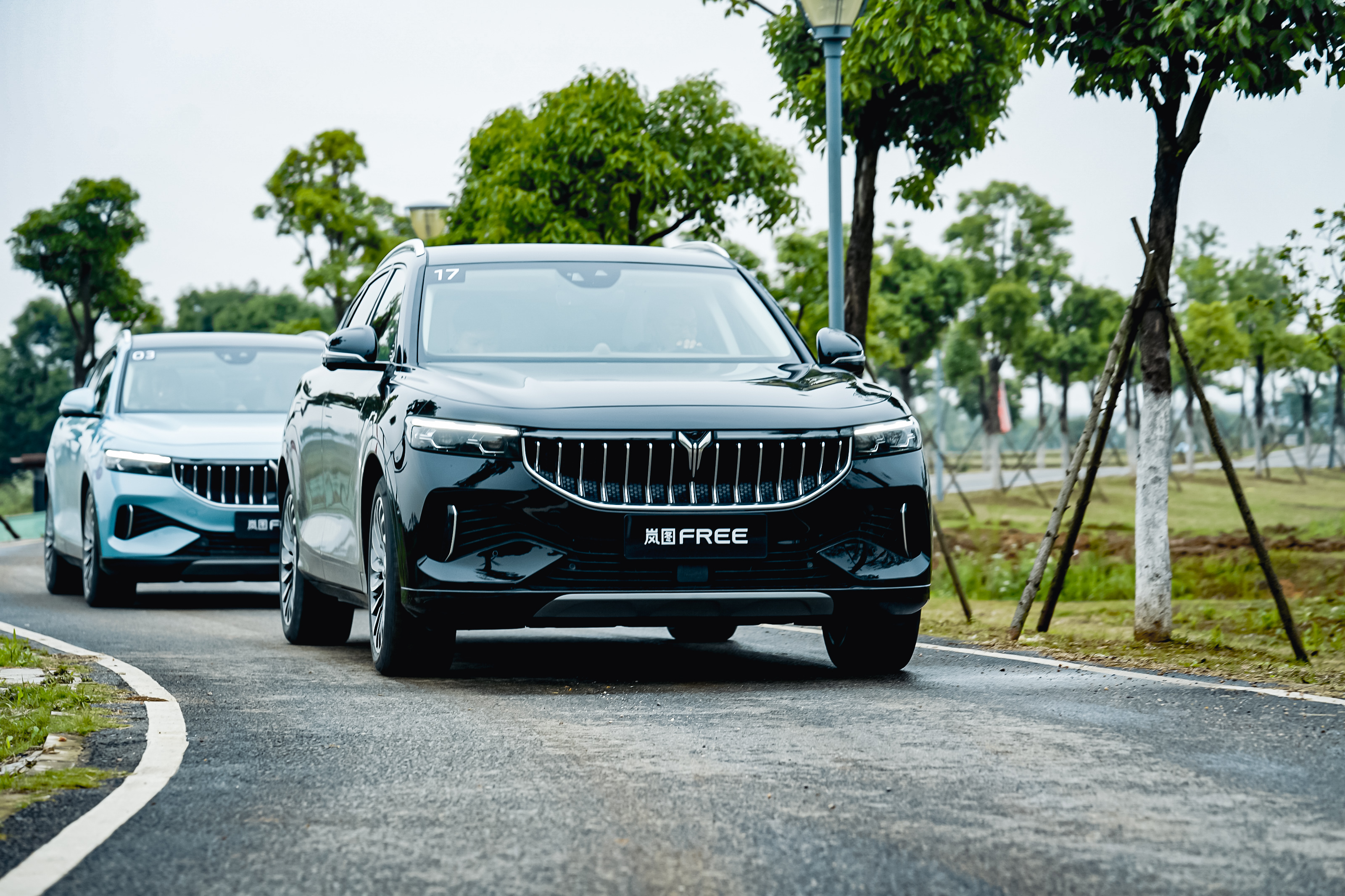 岚图free增程版动力时速夜视系统