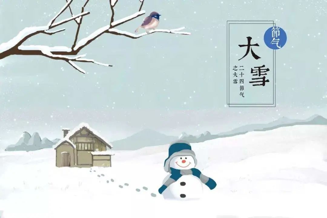 蒙古国赠羊抵浙！大雪进补，当归生姜羊肉汤首选！