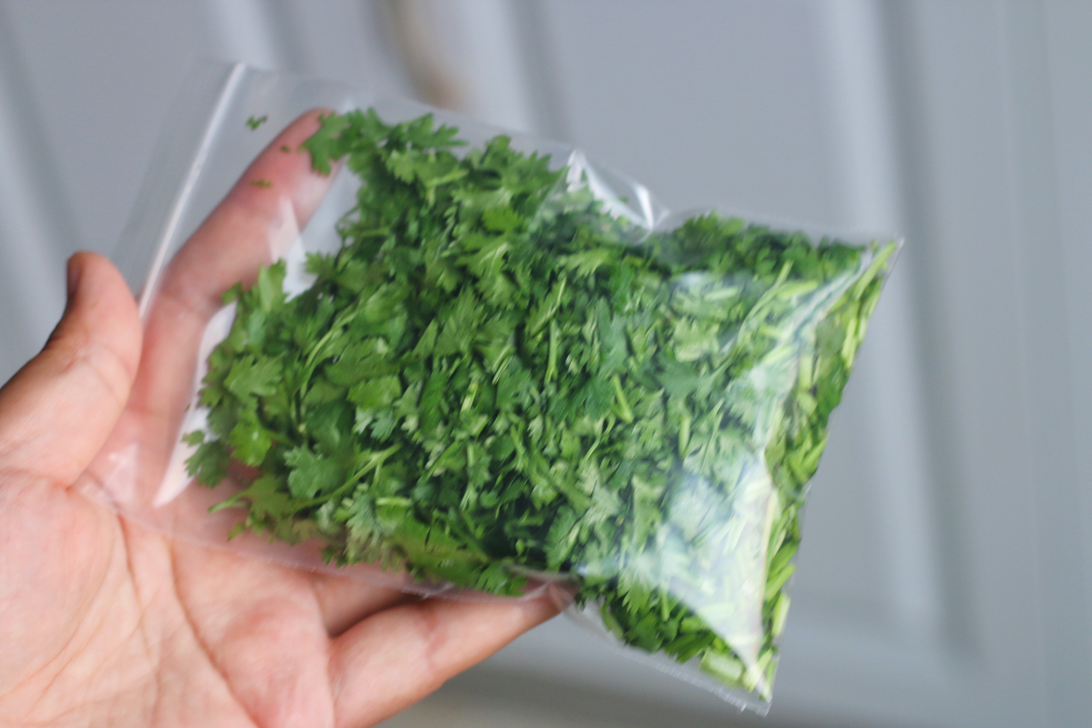 保存香菜，我有妙招，放一年不会坏，什么时候吃都新鲜如初