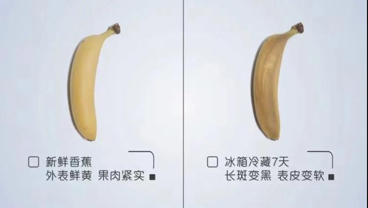 “冷藏”不行，“暖藏”行！卡萨帝冰吧：鲜果7天不变色