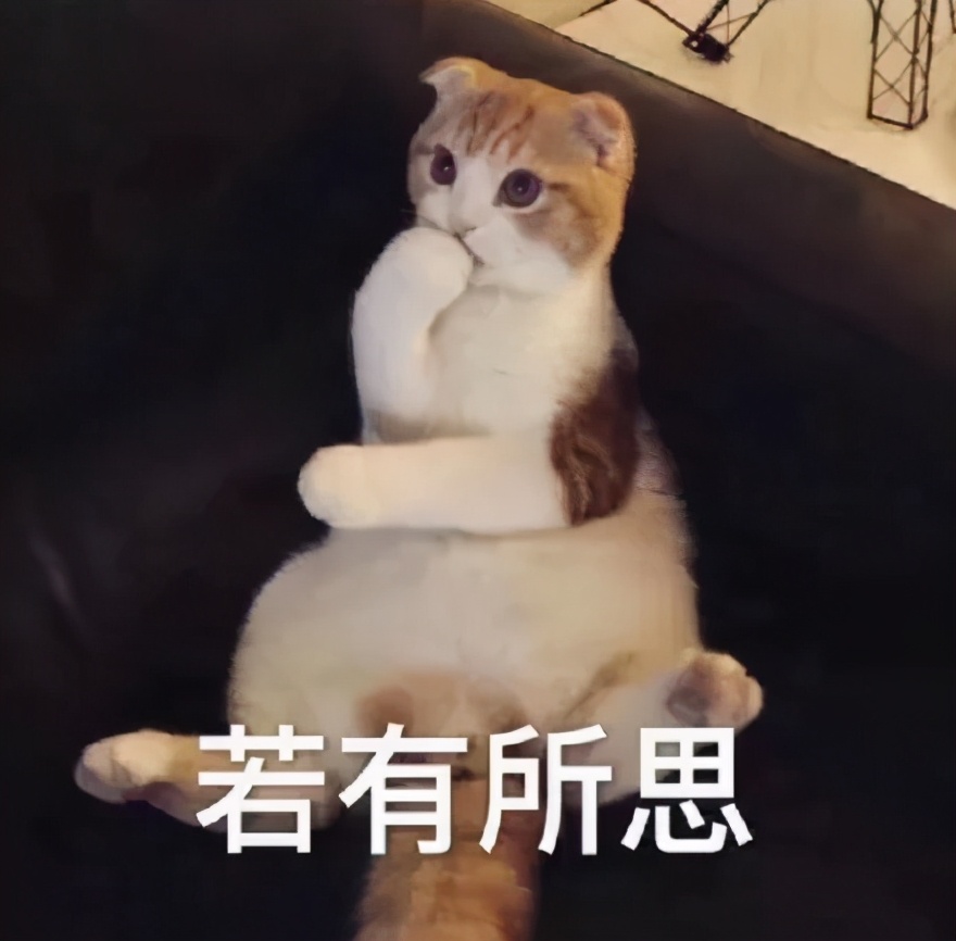 從“幾何深度學習”看深度學習江湖的統(tǒng)一