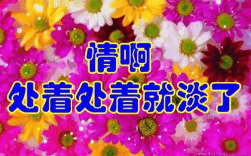 上好|正月十一早上好清晨第一声问候送给你，祝你天天好心情