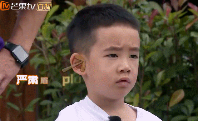 应采儿官宣二胎：她把Jasper教得这么好，全靠这9条家规