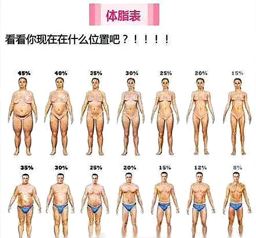 1組高效腹部贅肉燃脂動作計劃，高效幫你減掉腹部贅肉