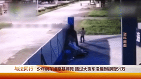 没撞到却要赔51万？交警：不知道的司机麻烦大了